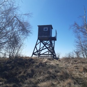 ZdenkaV on the summit of Strážná (3.4.2025 11:52)