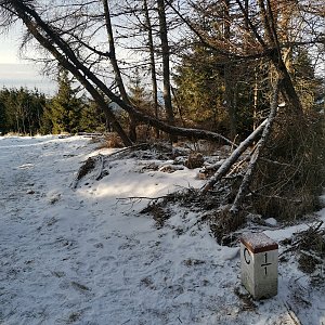 Michal 77 na vrcholu Polomka (9.1.2022 11:29)