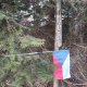 michalzhor na vrcholu Polomka (3.2.2025)