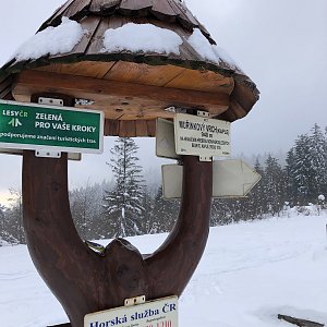 vito na vrcholu Muřinkový vrch (21.1.2021 14:30)