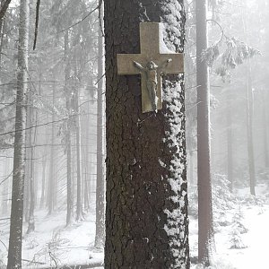 Markéta Čeníková na vrcholu Muřinkový vrch (27.2.2021 12:30)