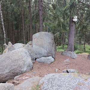 Cyklista 73 na vrcholu Vlčí hřbet SZ vrchol (21.5.2022 8:36)