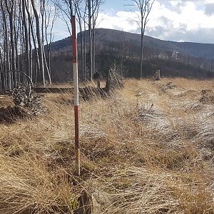 JezMax na vrcholu Velký Kozinec (7.4.2022 15:59)