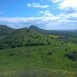 ignac na vrcholu Písečný vrch (22.5.2021 15:20)