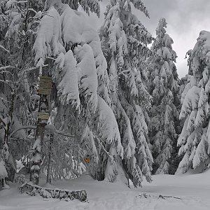 karina gasova na vrcholu Tanečnice - sedlo (18.1.2019 10:24)