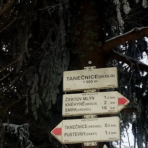 Martin Holuša na vrcholu Tanečnice - sedlo (6.2.2019 10:20)