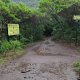 Leottomontagne na vrcholu Le Morne Brabant (4.3.2025)