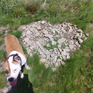 Lenka na vrcholu Ondřejník (3.5.2024 12:30)