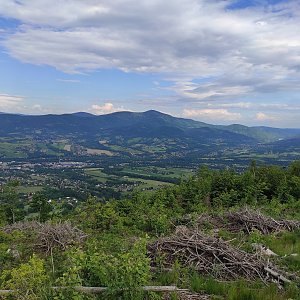 coccobello na vrcholu Ondřejník (10.6.2021 16:54)