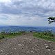 coccobello na vrcholu Ondřejník (10.6.2021 16:54)