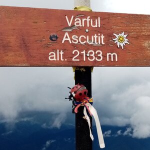 Jiřina on the summit of Ascutit (5.8.2024 11:47)