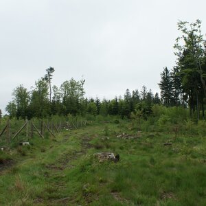 Holi na vrcholu Buková hora (4.5.2024 12:59)