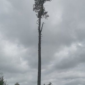 HBPE na vrcholu Buková hora (17.8.2025 11:03)