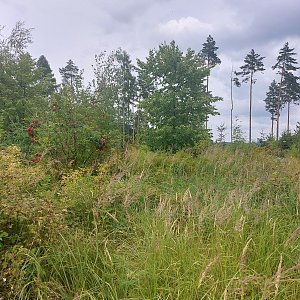 Cyklista 73 na vrcholu Člupek (7.7.2022 13:54)