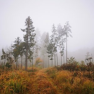 Jiří Králík na vrcholu Člupek (23.10.2022 10:43)
