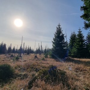 Ráďa Hojdís on the summit of V koutě (3.11.2024 18:48)