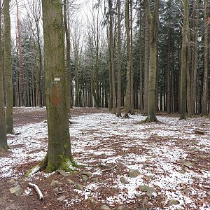 Cyklista 73 na vrcholu Brdo (10.4.2022 8:46)