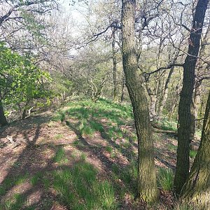 Cyklista 73 na vrcholu Teplický vrch (30.4.2022 16:23)