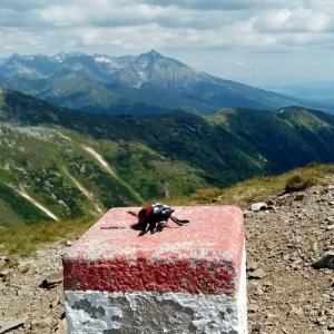 Jiřina na vrcholu Blyšť / Błyszcz (8.7.2023 14:07)
