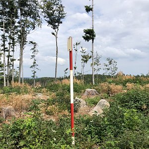 Radka D na vrcholu Ještěnice (19.8.2022 14:07)