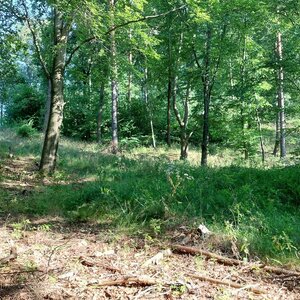 Mykas na vrcholu Chudý vrch (27.8.2024 17:07)