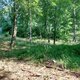 Mykas na vrcholu Chudý vrch