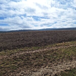 Cyklista 73 na vrcholu Pánův kopec (25.2.2024 10:52)