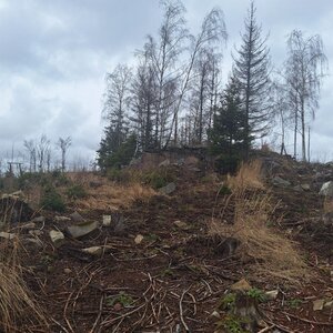 Cyklista 73 on the summit of Horka (23.2.2024 13:28)