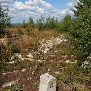 Nojby on the summit of Pivničky (22.7.2026 10:58)