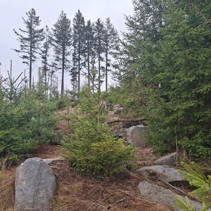 Cyklista 73 on the summit of Malý vrch (23.2.2024 14:22)