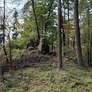 Nojby na vrcholu Rozhled JZ2 (8.10.2021 11:06)