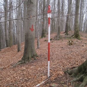 ZdenkaV na vrcholu Kazničov J (21.3.2026 10:52)