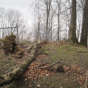 ZdenkaV na vrcholu Kazničov S (21.3.2026 11:28)