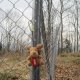 ZdenkaV na vrcholu Kazničov S
