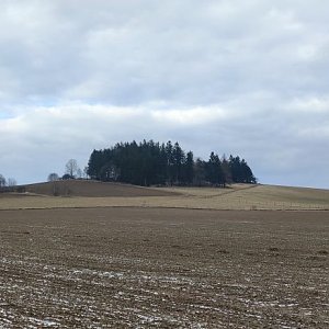 michalzhor na vrcholu Zítkův kopec (5.3.2022 21:24)