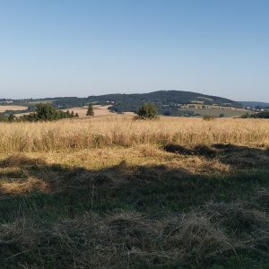 HBPE on the summit of Zítkův kopec (11.8.2025 8:30)