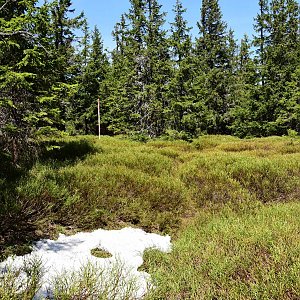 Veronika Trančíková na vrcholu Temná (14.5.2022 12:15)