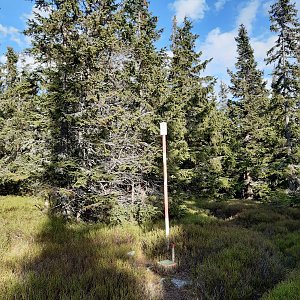 Marcela na vrcholu Temná (28.10.2022 14:32)