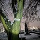Šárka na vrcholu Rudná (26.11.2021 16:18)