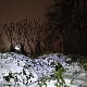 Šárka na vrcholu Rudná (13.12.2021 21:07)