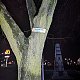 Šárka na vrcholu Rudná (24.12.2021 20:50)