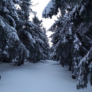 Eliška na vrcholu Smrekowiec (26.1.2023 14:20)
