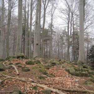 ZdenkaV na vrcholu Kazničov V (21.3.2026 10:37)