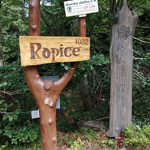 Blanka Holleschová na vrcholu Ropice (27.7.2019 13:12)