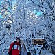 Frydrysi na vrcholu Ropice (1.1.2021 15:05)