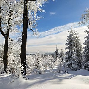 Katka na vrcholu Ropice (31.1.2021 11:30)
