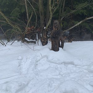 Vero na vrcholu Ropice (19.4.2021 17:00)