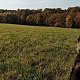 Jiřina na vrcholu Kamenný vrch (26.10.2021 9:27)