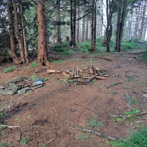 Horalka Anička na vrcholu Muńcuł (4.8.2024 9:00)