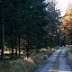 Bouřka na vrcholu Bukový vrch - JJZ (29.10.2021 10:37)